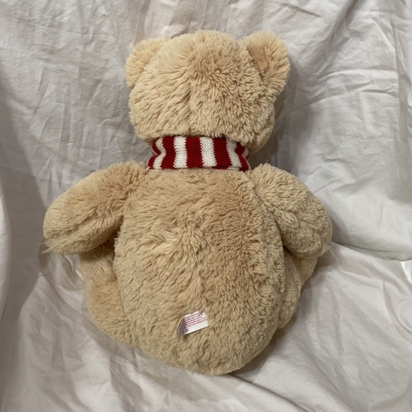 Kid’s Aéropostale Stuffed Teddy Bear with Scarf. One size. Gift card holder. - Picture 3 of 9